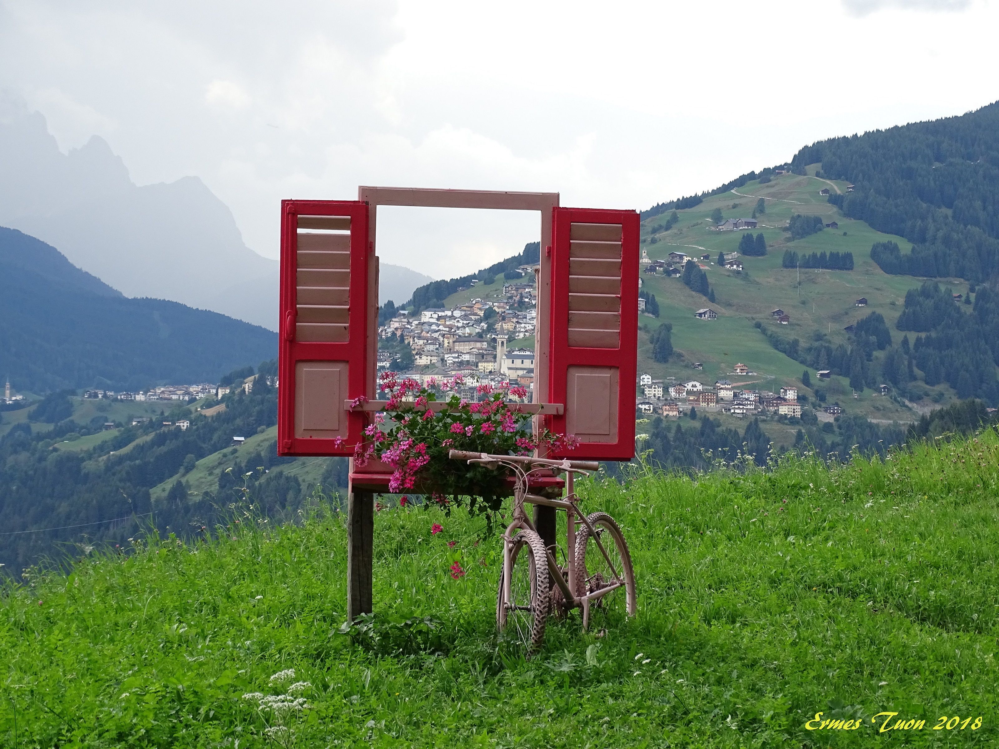 Caption: enjoying the view through a window in the meadow