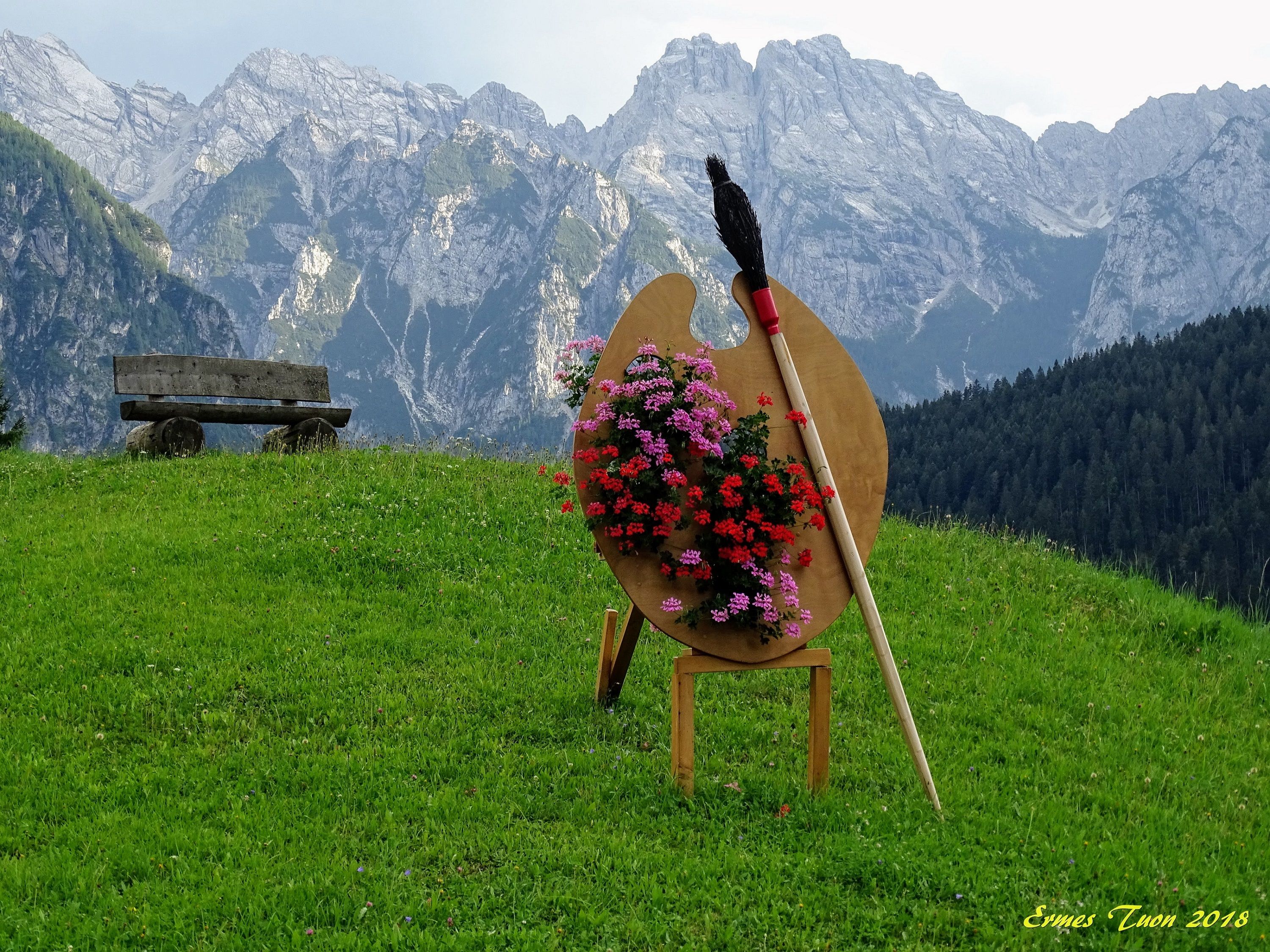 Caption: a palette of geraniums for painting the beauty of the Alps is welcoming you at the entrance of the village