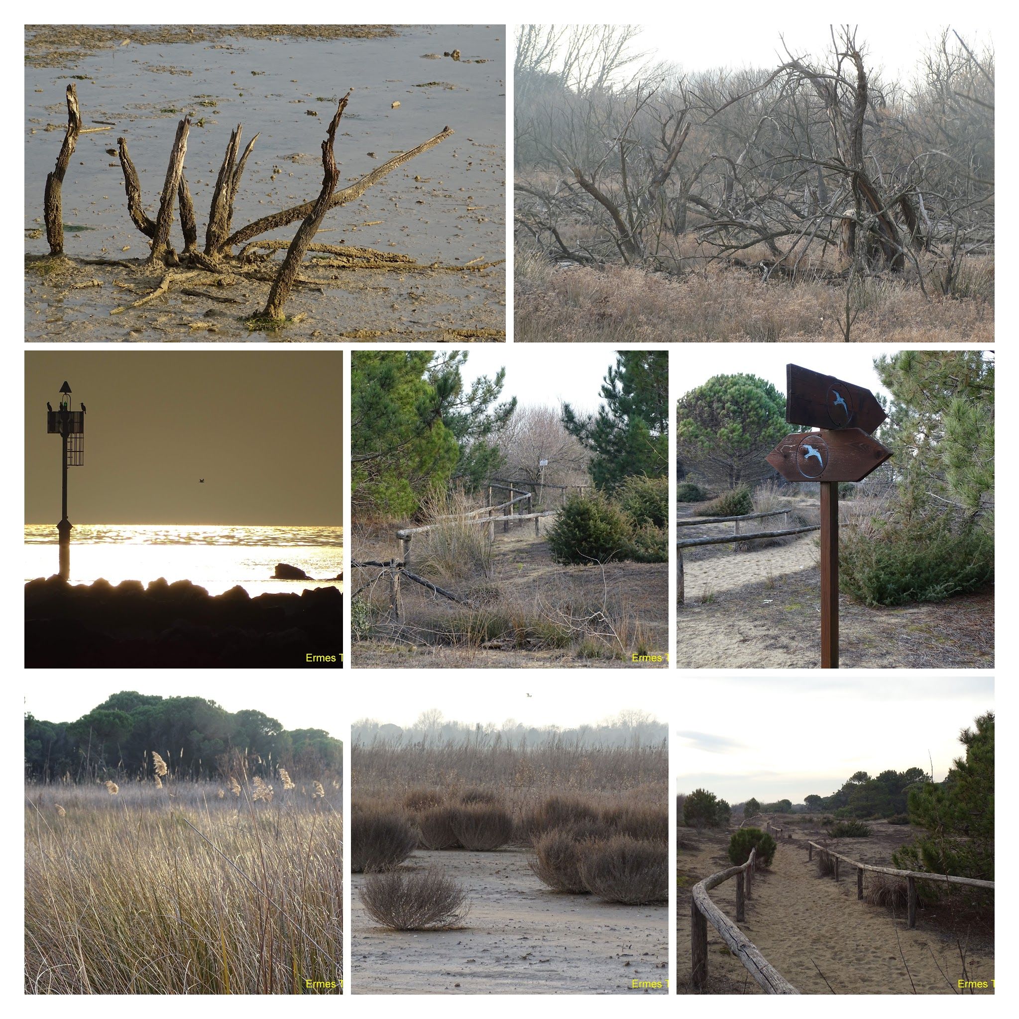 Caption: different views of Laguna del Mort, natural area - Local guide @ermest