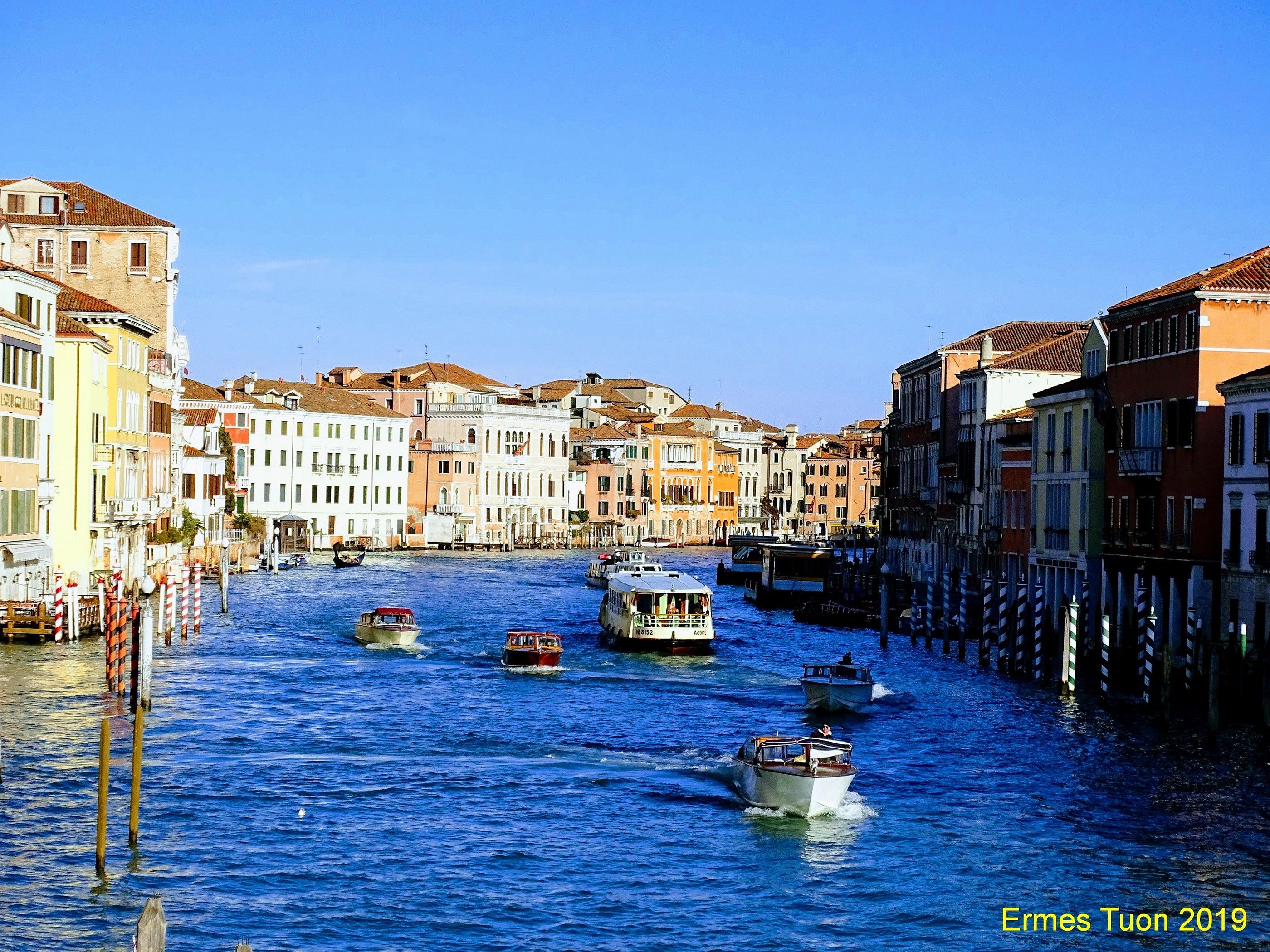 Caption: Venice - The Grand Canal - Local guides @ermest