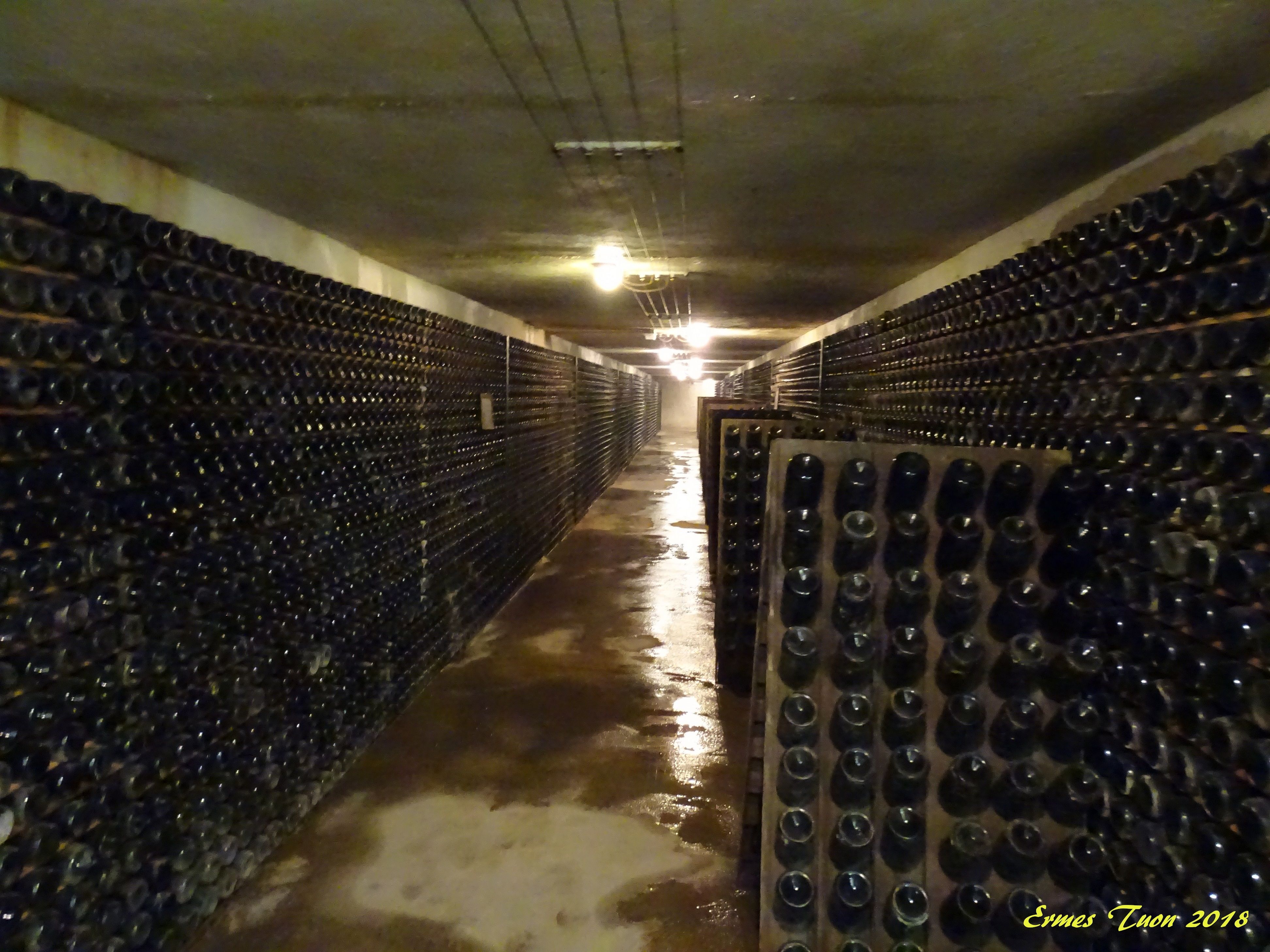 Caption - Bottles of wine aging in a gallery - from Ebbrezza Meet-up