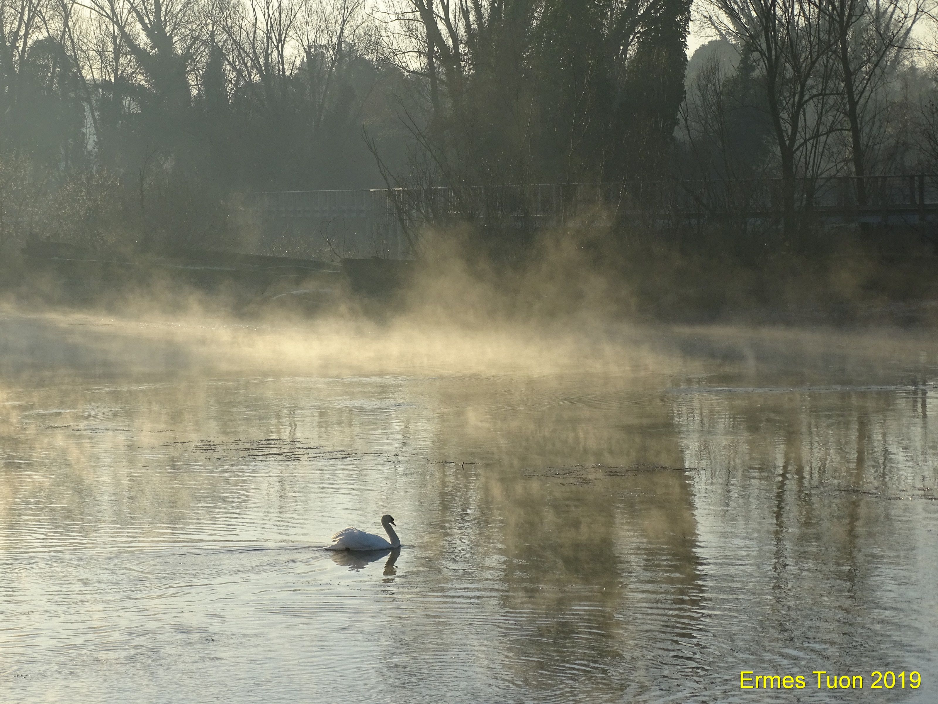 Caprion: the sun hits the fog on the river - Local Guide @ermest