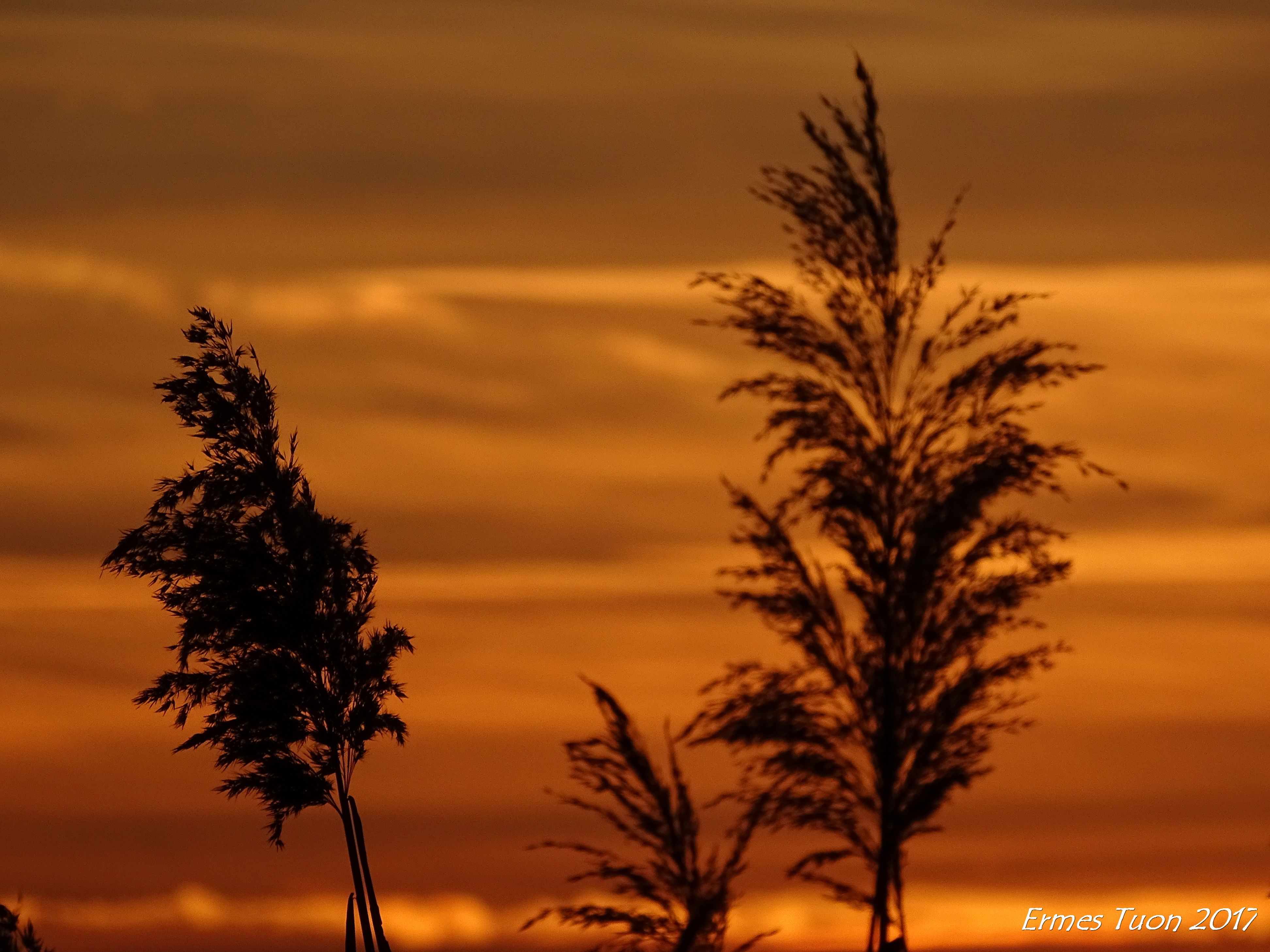 Caption: Sunset - Local Guide @ermest