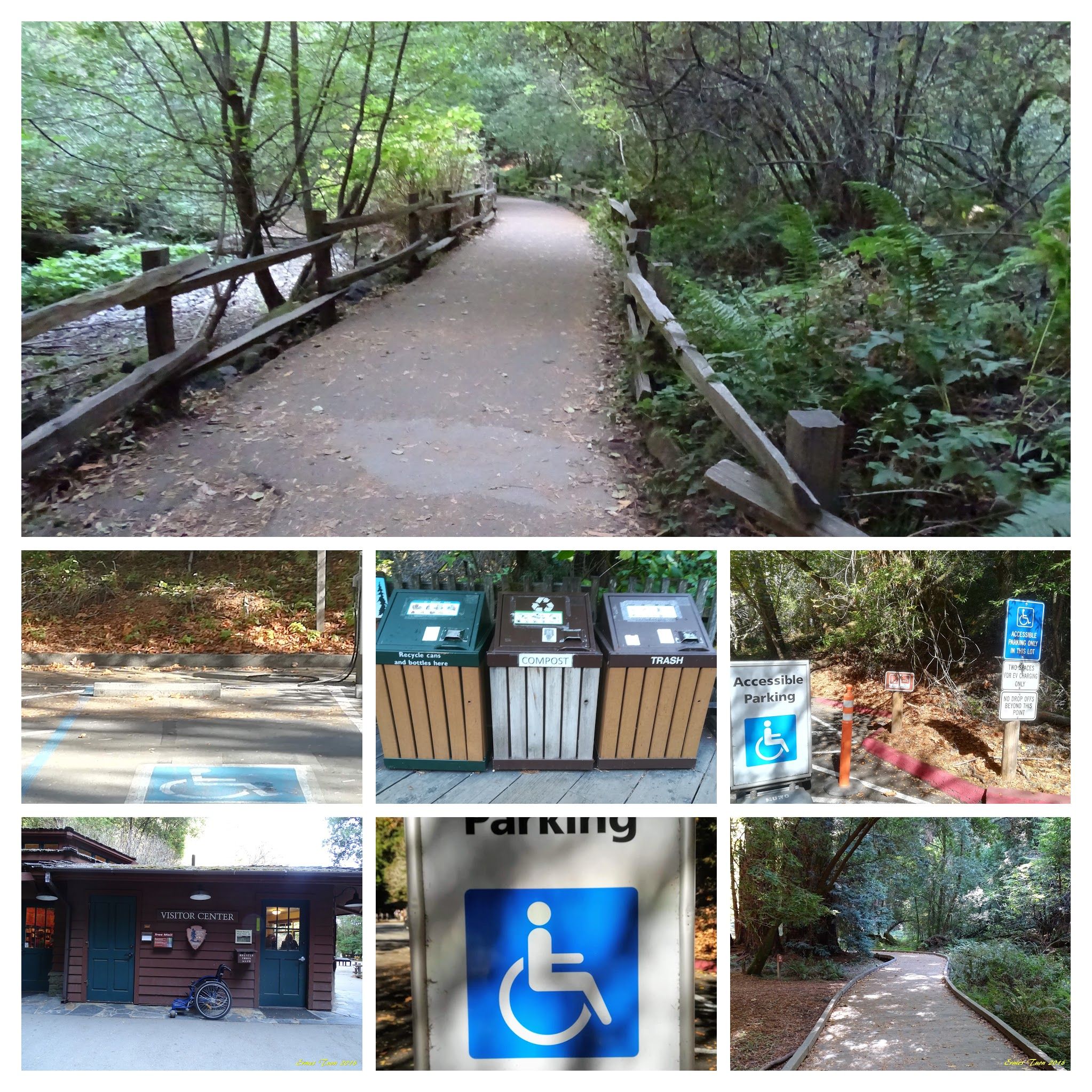 Caption: Accessibility at Muir Wood National Park - California - Photos by Local Guide @ermest