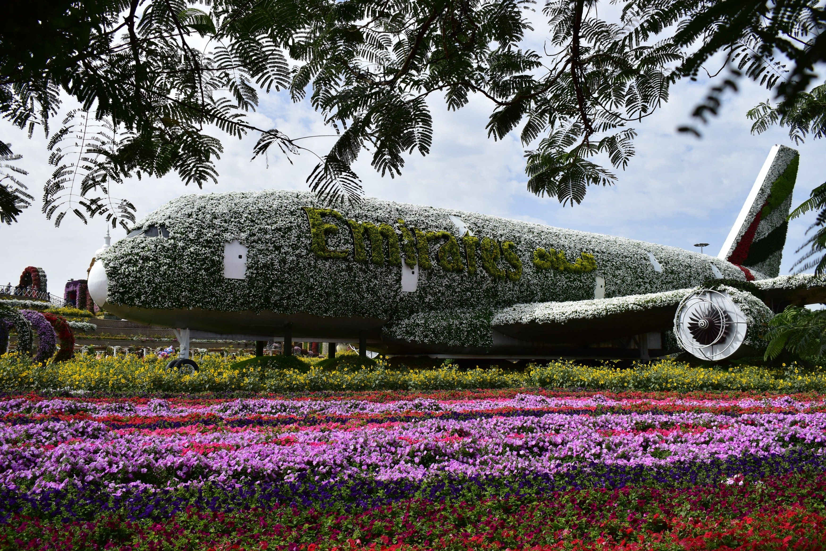 Caption: A photo of a real-size plane covered with different kinds of flowers in Dubai Miracle Garden (Local Guide @MoniDi)