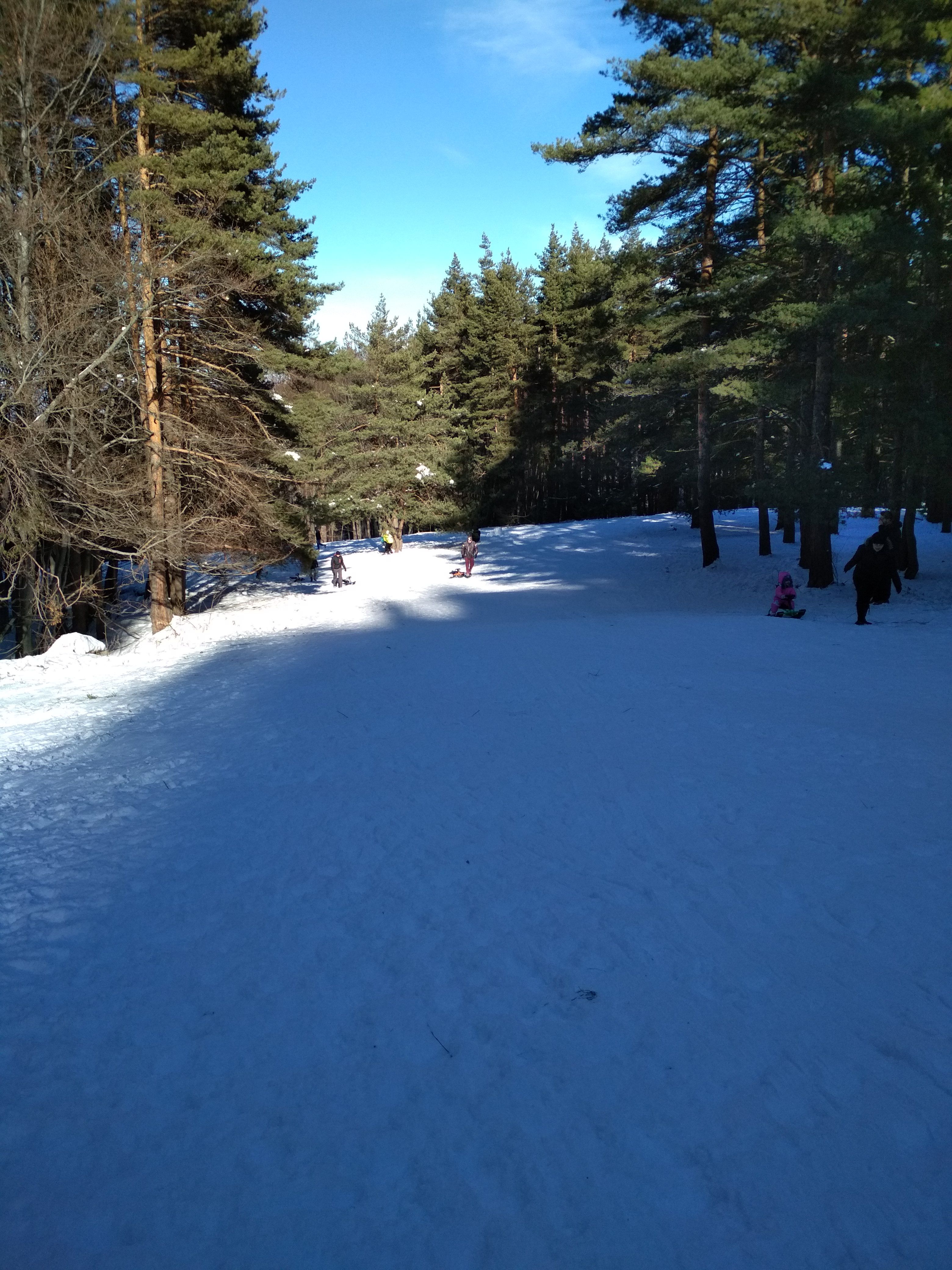 Caption: A photo of a snowy field, surrounded by tall pine trees. There are people sliding down the hill. (Local Guide @DeniGu)