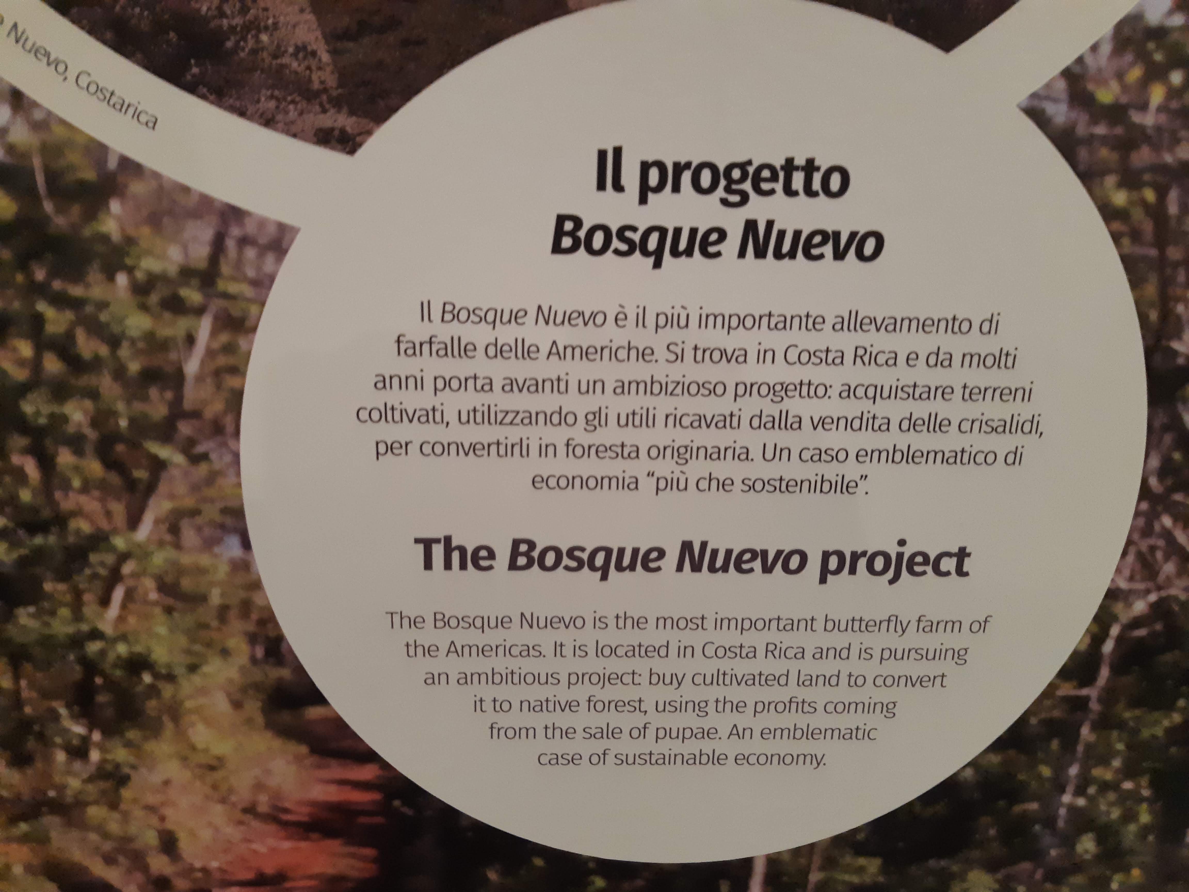 Bosque Nuevo project