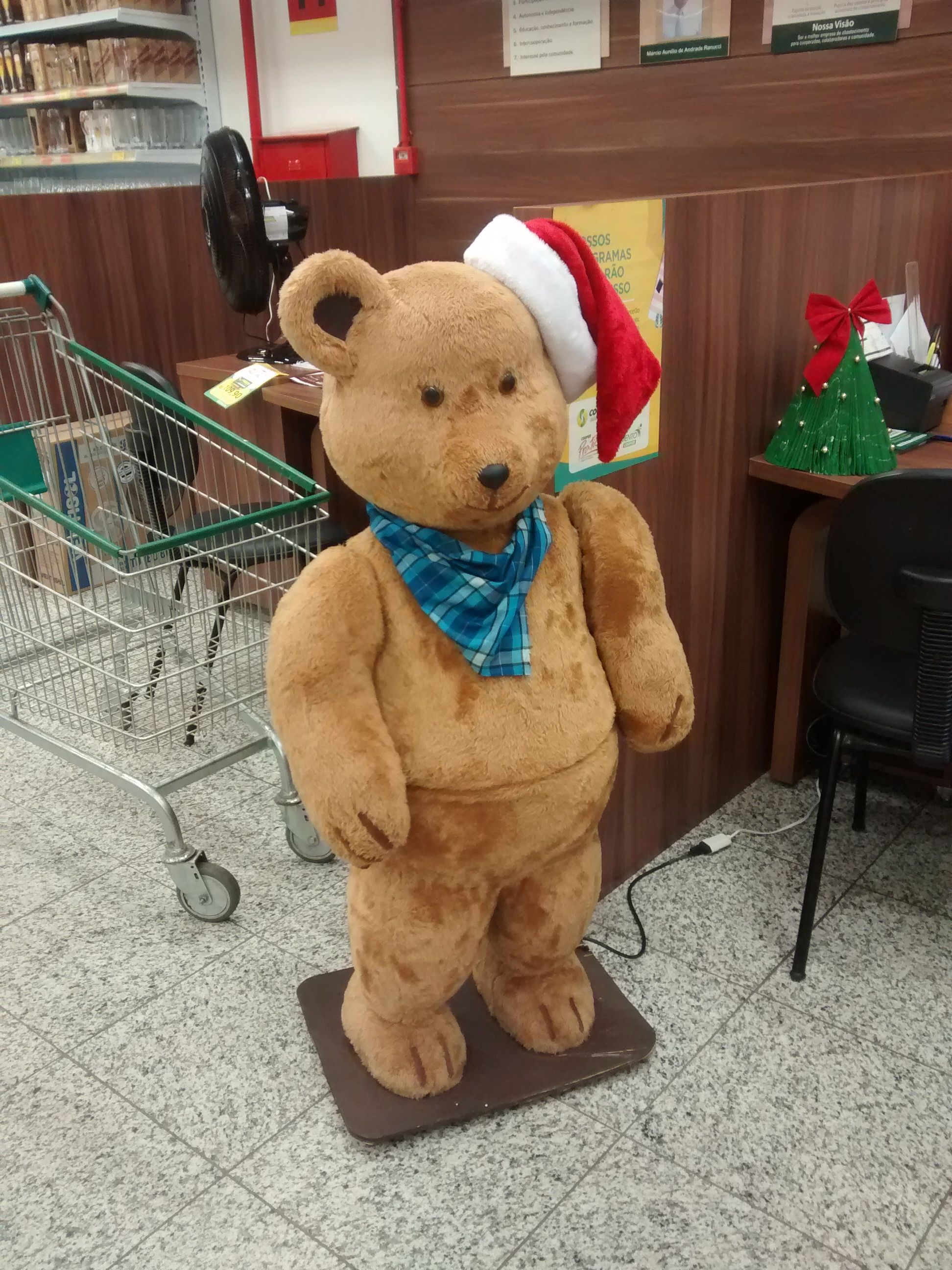 Urso de Noel