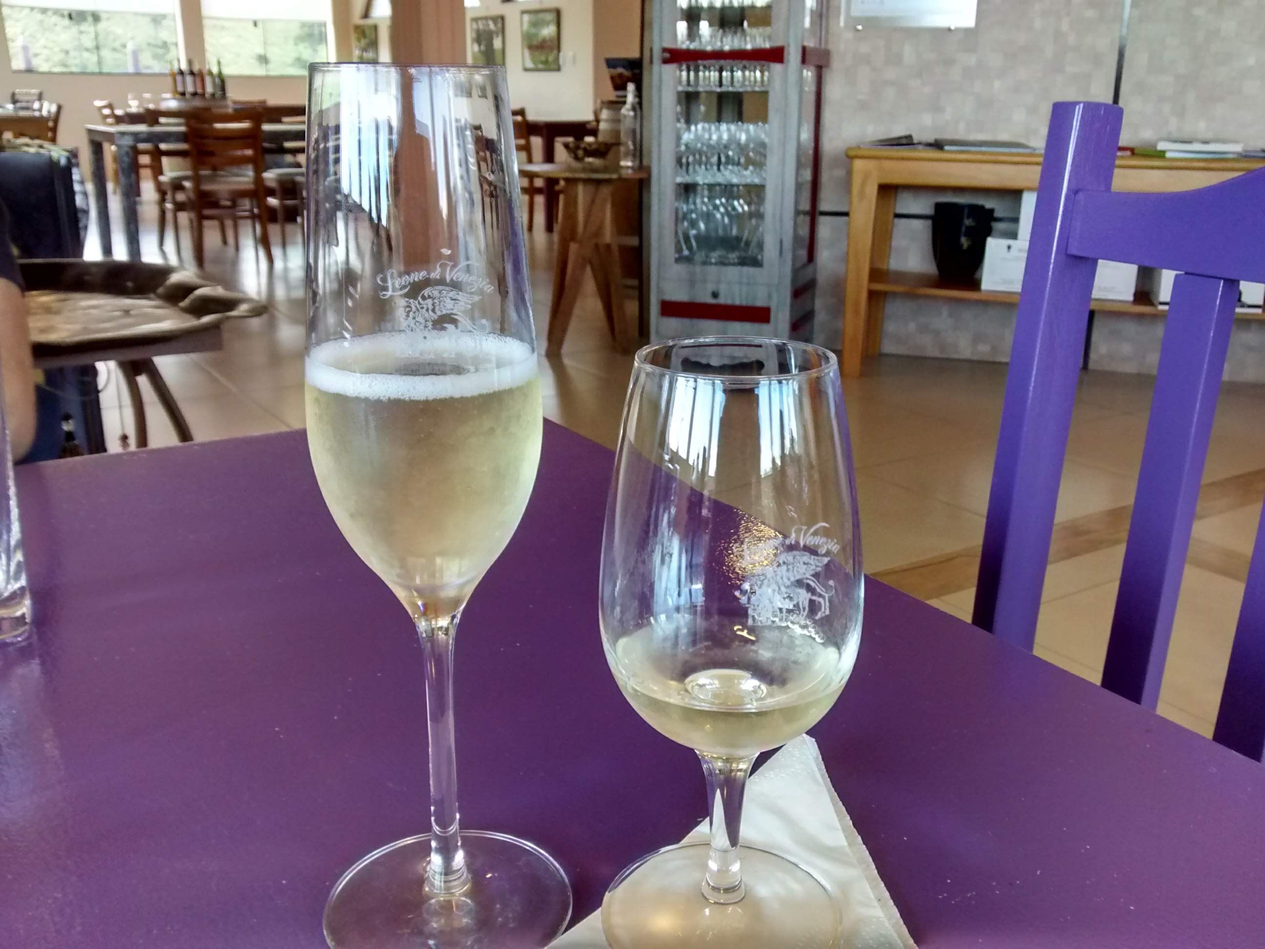 Degustação de Espumante e Vinho Branco