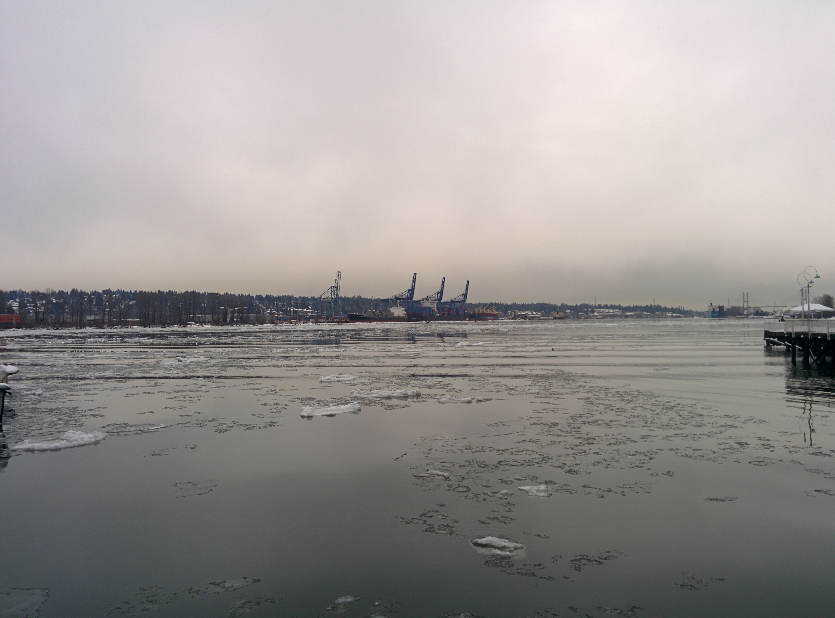 Fraser in Vancouver with ice in Winter Storm 2019
