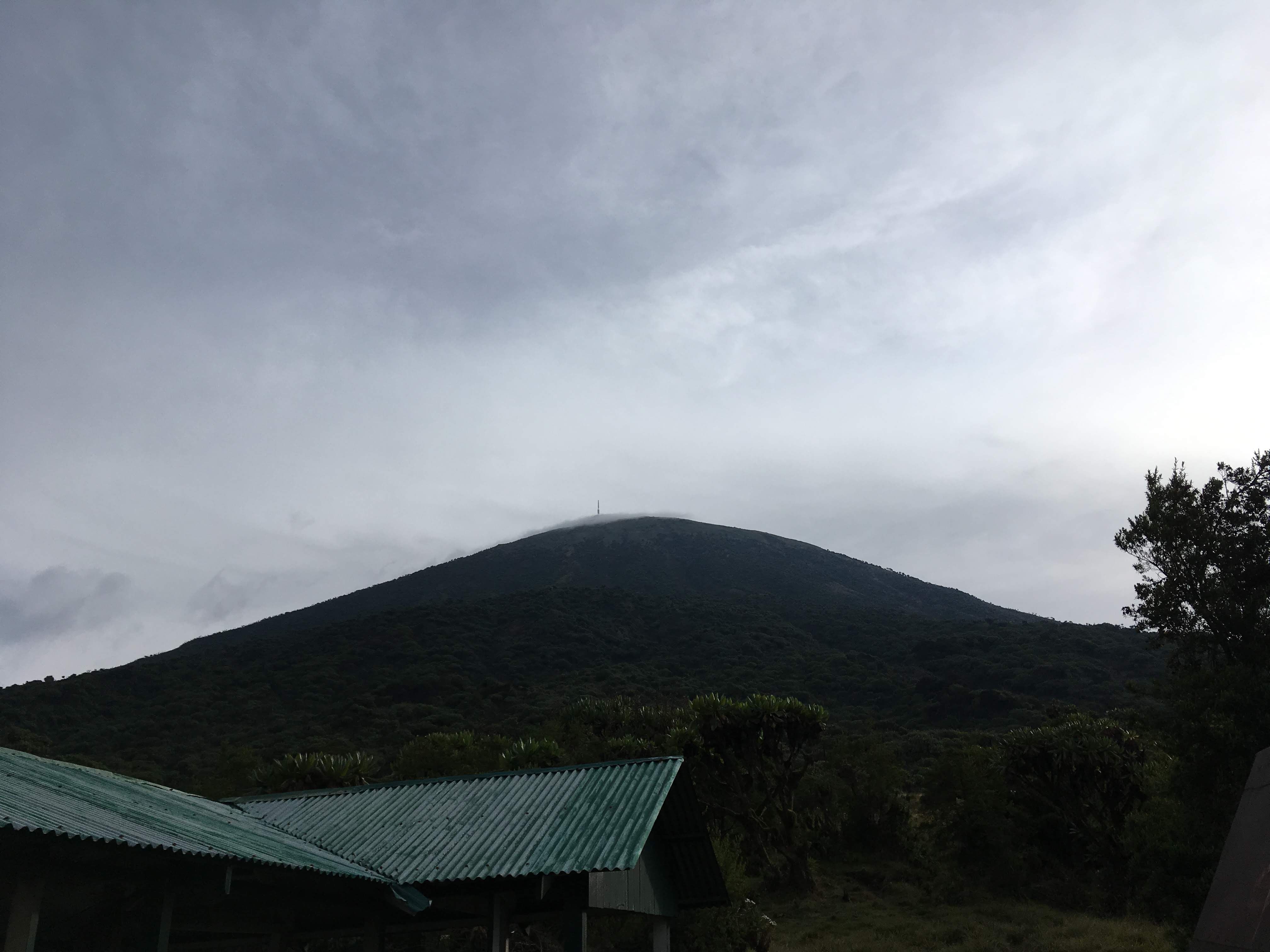 Karisimbi Peak Seen from The camping Base