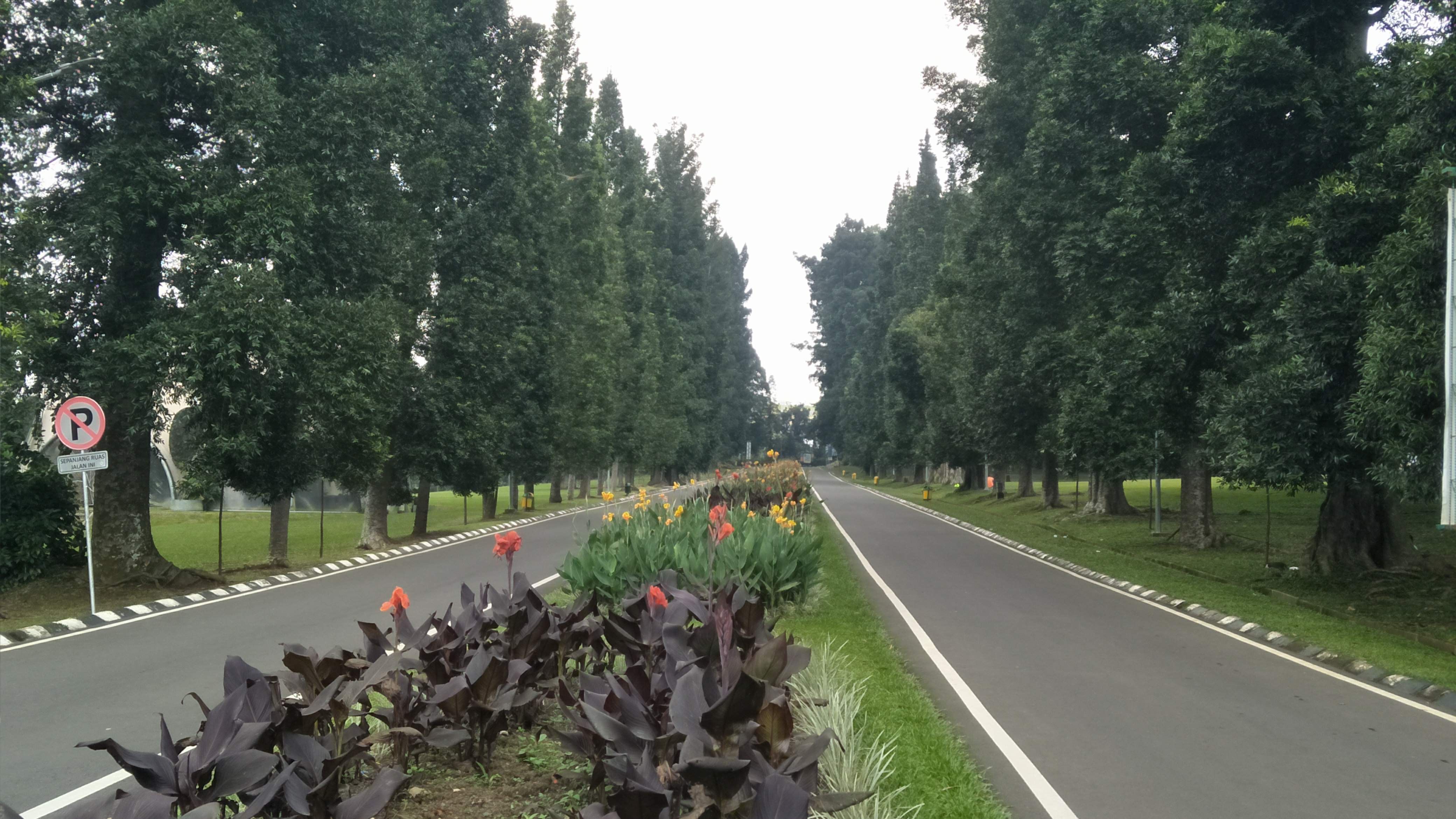 Salah satu sudut jalan Kebun Raya Bogor