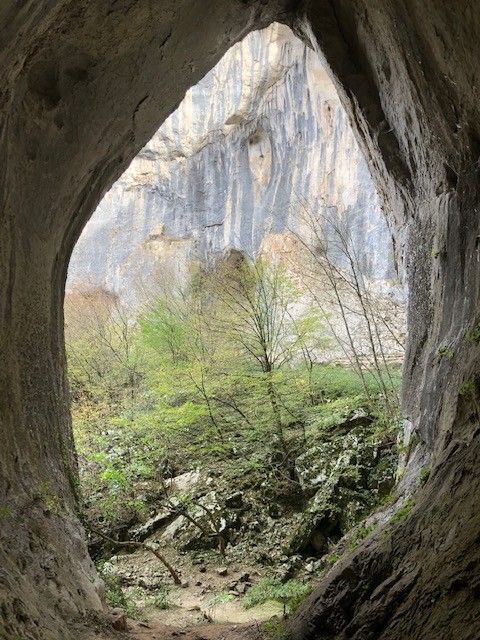 Caption: one of the caves next to Prohodna with the vegetation on background.