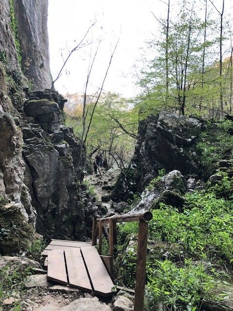 Caption: a smalls bridge connection a trail surround by forest.
