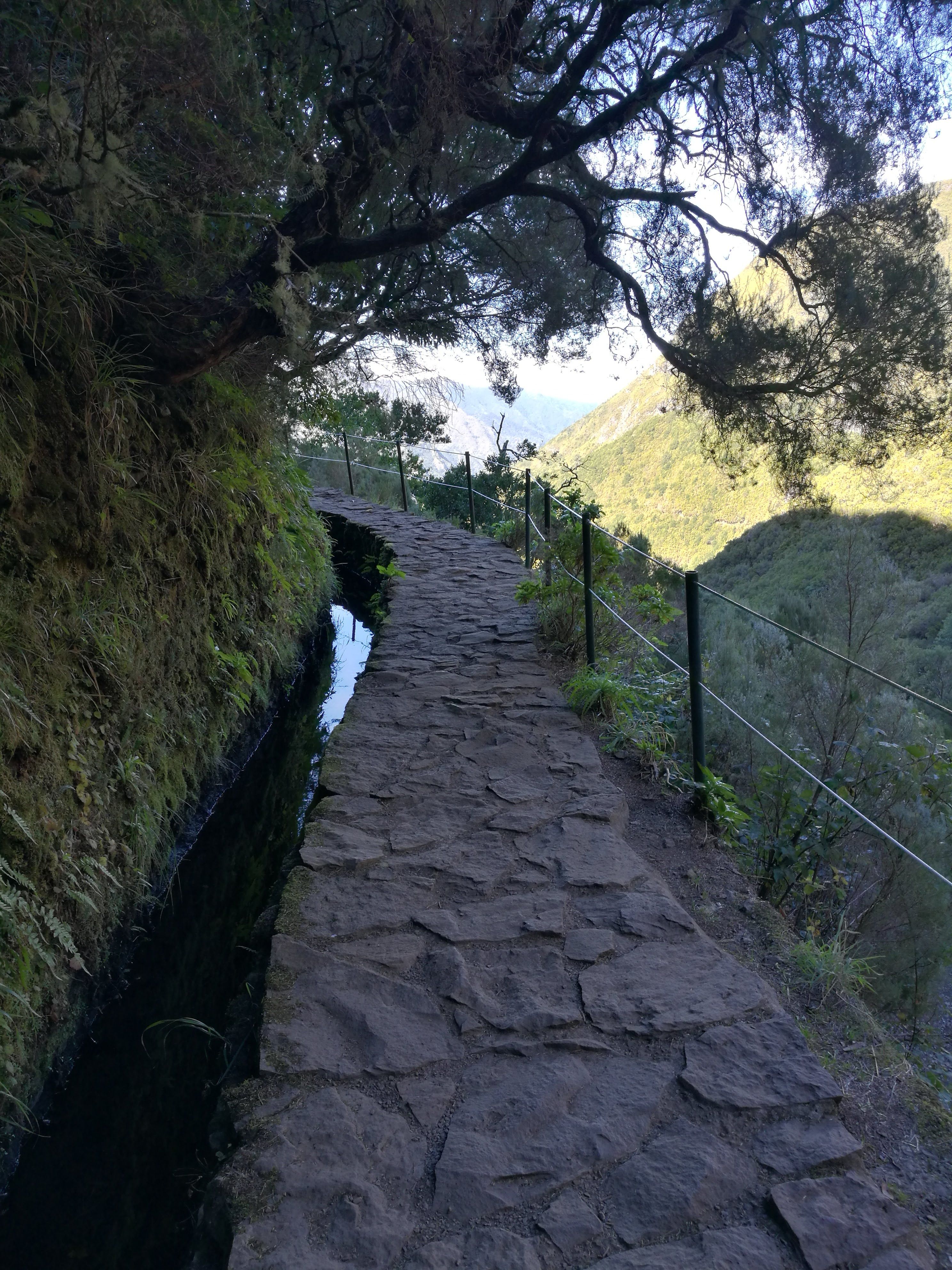 A levada with a view