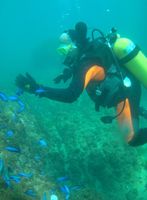 Scuba diving at Long Dong