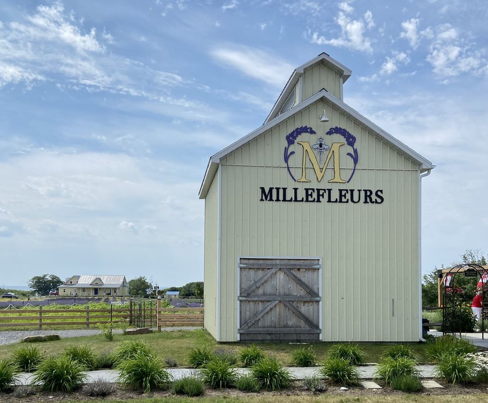 Millefleurs Lavender Farm