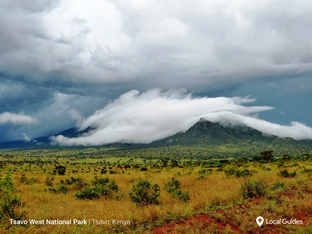 Tsavo West National Park by Alicja Piekarz