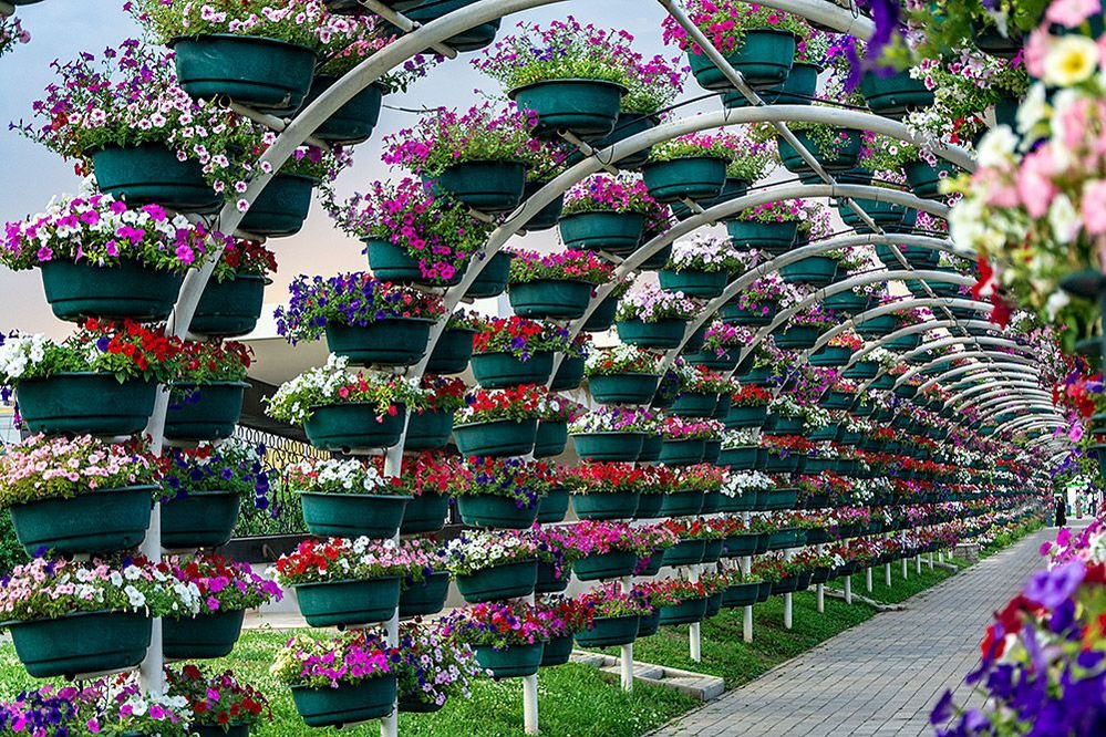Perspective. In the Park of Flowers, Grozny, Chechnya