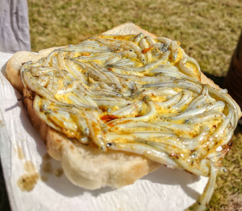 Whitebait fritter sandwich