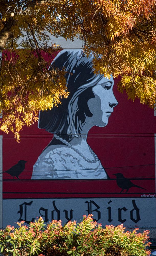 Lady Bird is the most Famous Movie  that history located in Sacramento.