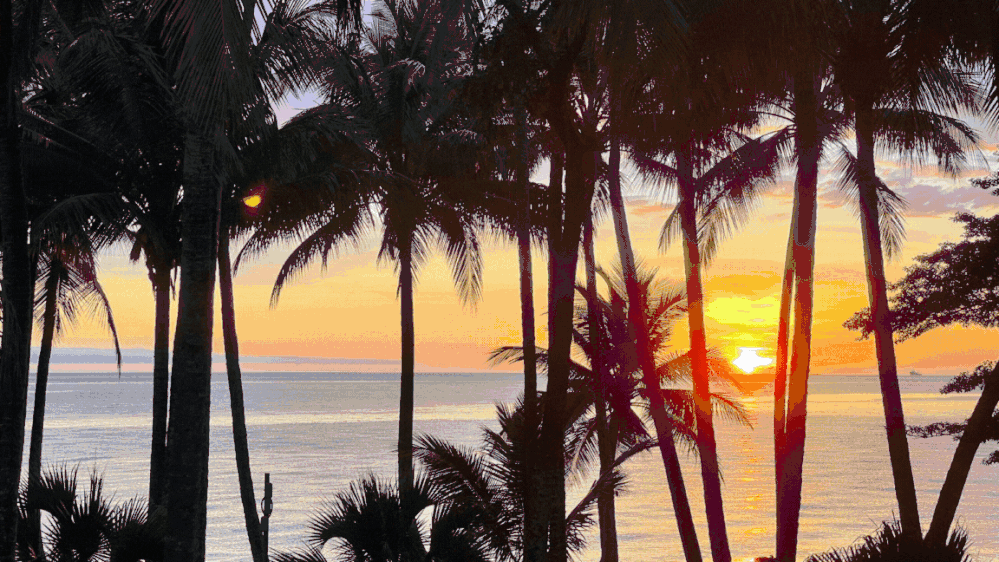 Caption: Sunrise at Palm Cove (Apple iPhone 12 Pro Max)