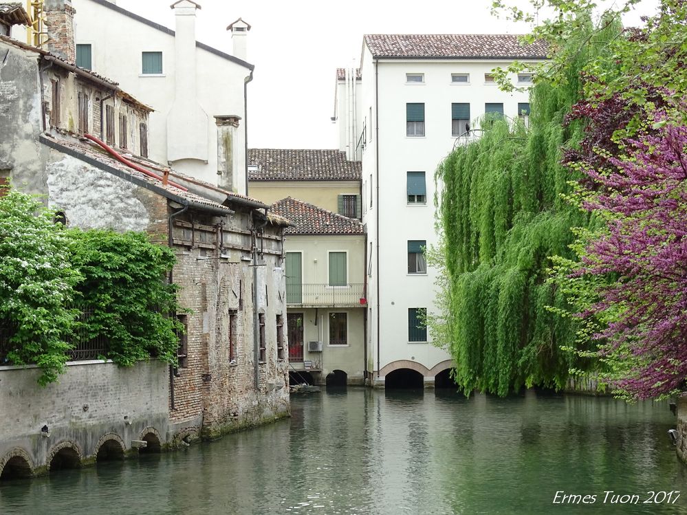 Treviso - city centre - Water canal - Canale