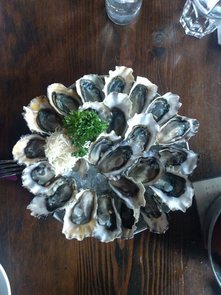 Oysters, and lots of them at happy hour!