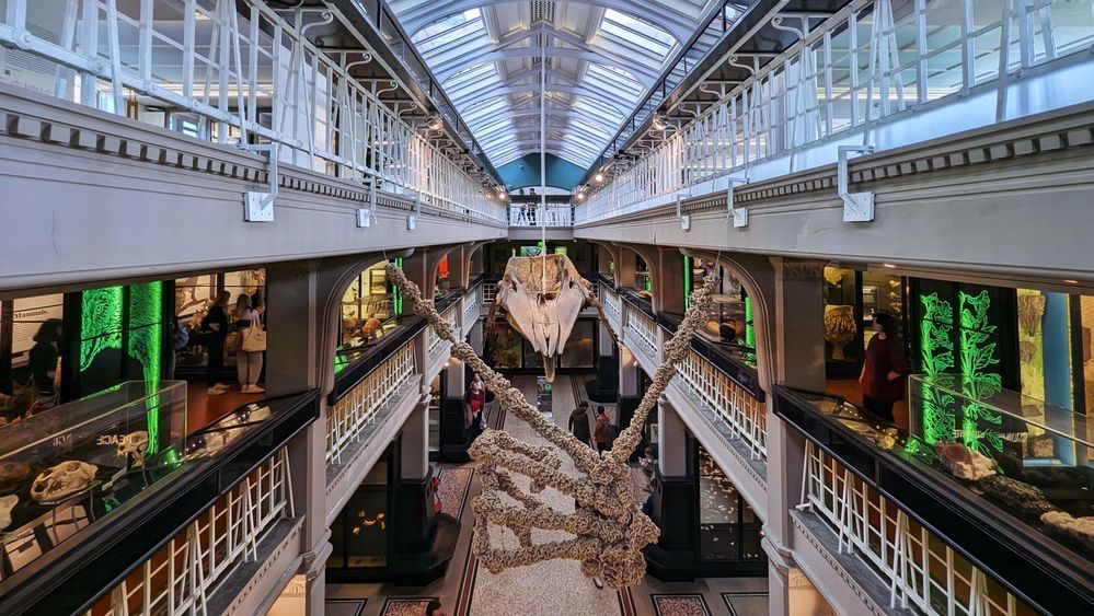 Caption: A photo of the Manchester Museum showing the main atrium where the skeleton of a sperm whale and a hand-crocheted piece in the form of a skeletal hand are hung up above the visitors and various floors with exhibits. (Local Guide @AdrianLunsong)