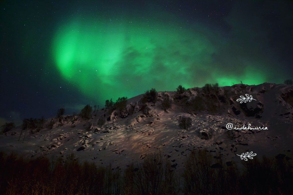 Aurora Borealis seen at Tromsø, Norway. Photo taken by  LG @indahnuria