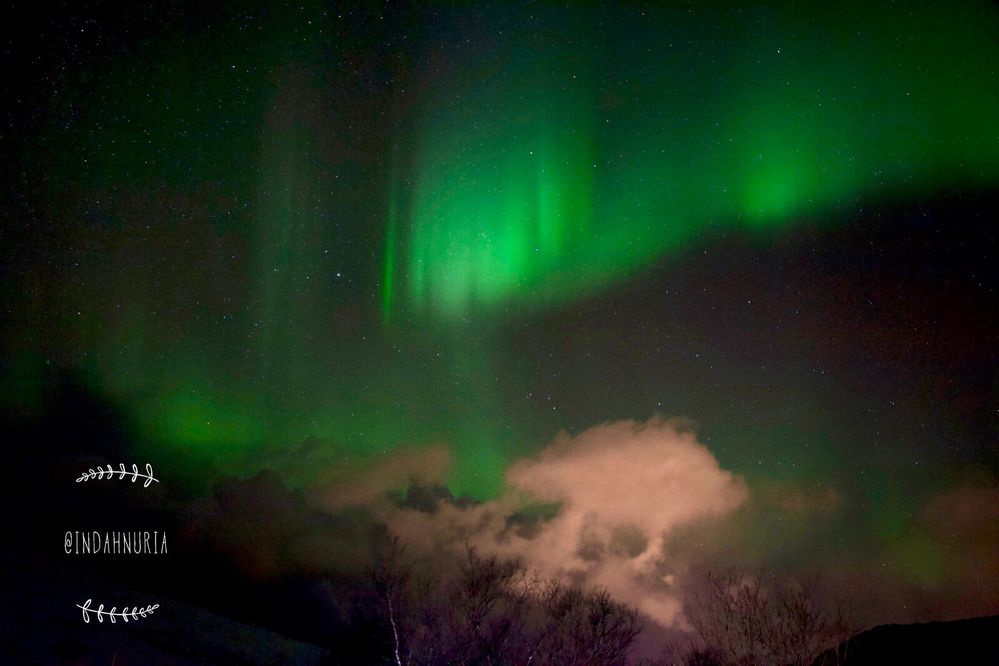More Aurora borealis taken in Tromsø, Norway by LG @indahnuria