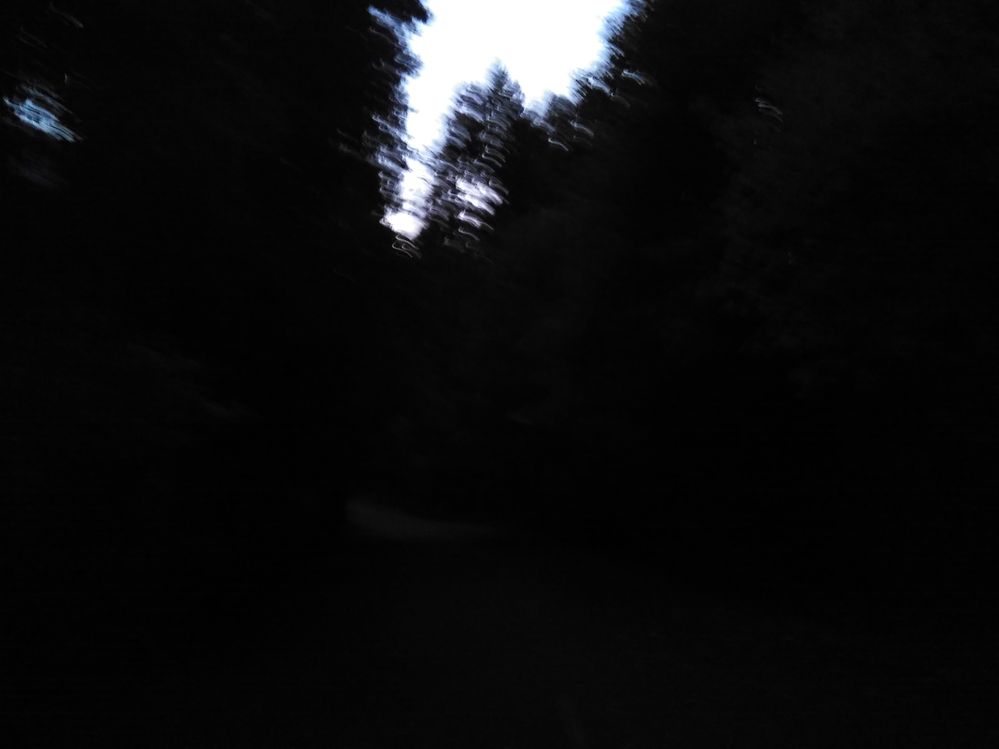 Blair Witch Project, right? Yep... trash picture but real - I was walking very fast.... OMG