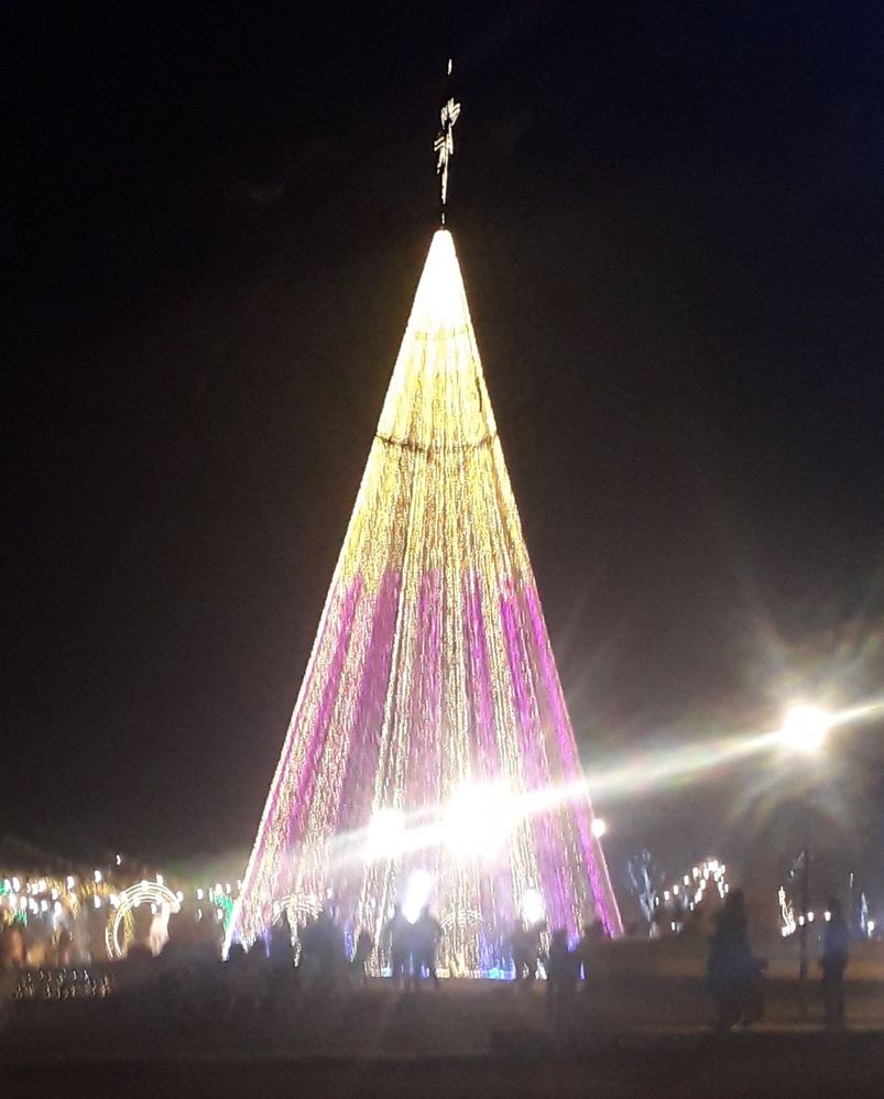 picture of 85 Feet Christmas Tree at Abuja ICC