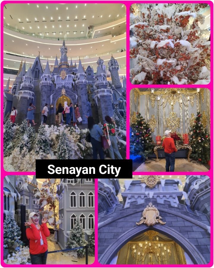 Senayan City Collage