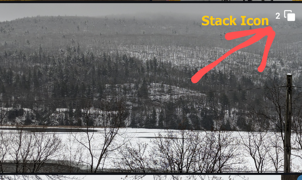 Caption: Screenshot of images in Google photo with the stack icon circled