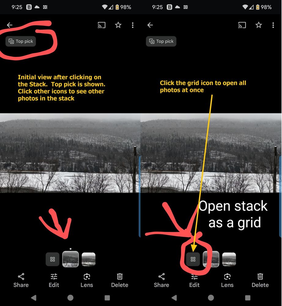 Caption: Combined screenshots. On the left is the screen that opens when you click the top photo in the gallery. The right side indicates the grid icon.