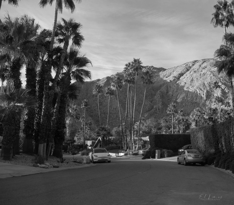 Neighborhood in Palm Springs, California,USA.