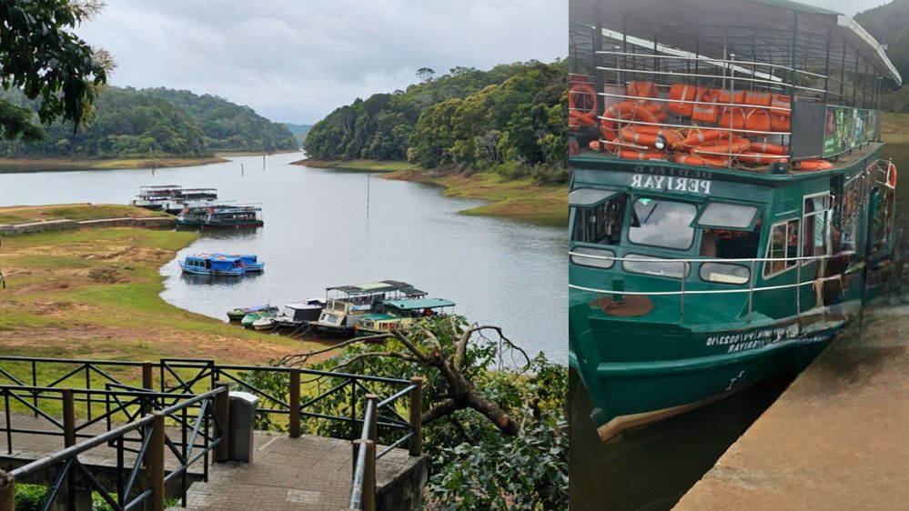 #6 The heart of Periyar, where emerald waters mirror misty hills, and wildlife whispers secrets on a gentle boat ride.