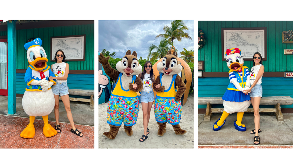Caption: photo collage with Donald Duck, Chip & Dale, and Daisy Duck.