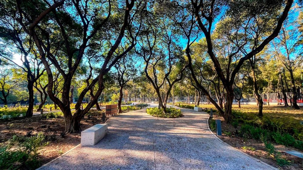 Senderos frescos para caminar dentro del Jardín Escénico Chapultepec. Foto @LightRich