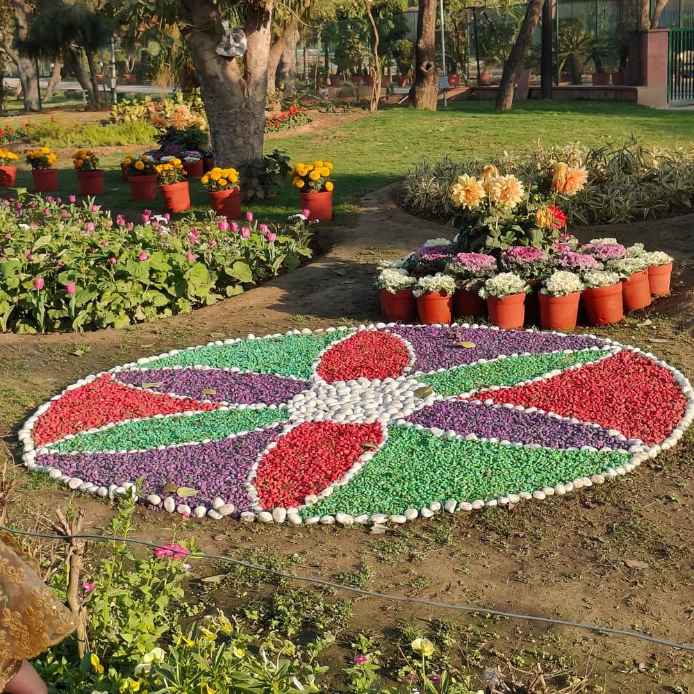#6 Rangoli created with coloured stones