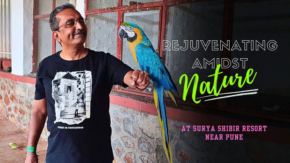 A cover banner showing Macaw bird seating on my hand at Surya Shibir Resort bird Aviary.
