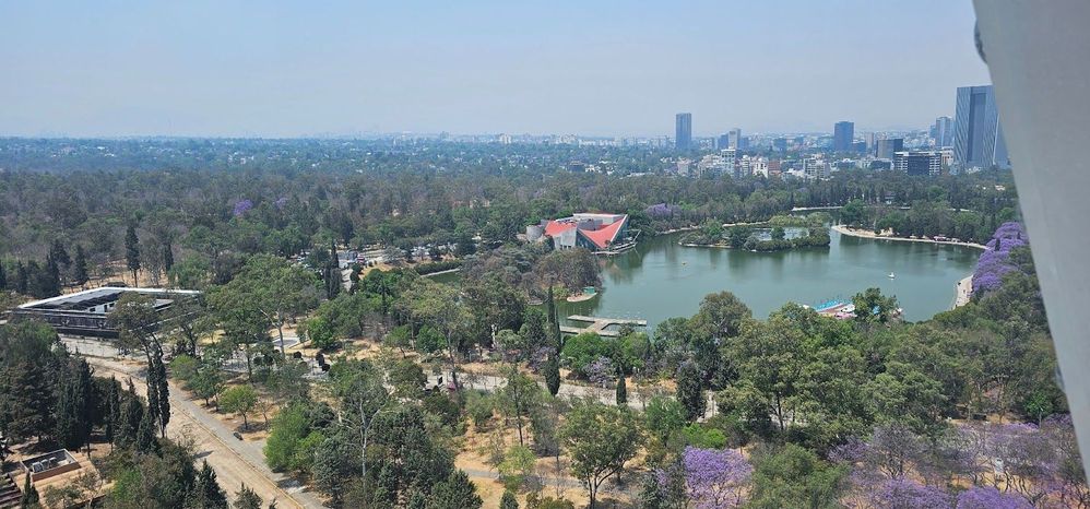 Photo of Chapultepec lake surrounded by trees and buildings in the horizon , by Imperiospice