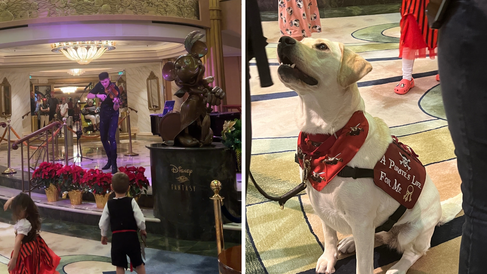 Caption: Jordan playing the violin (left). A service dog with a pirate outfit (right).
