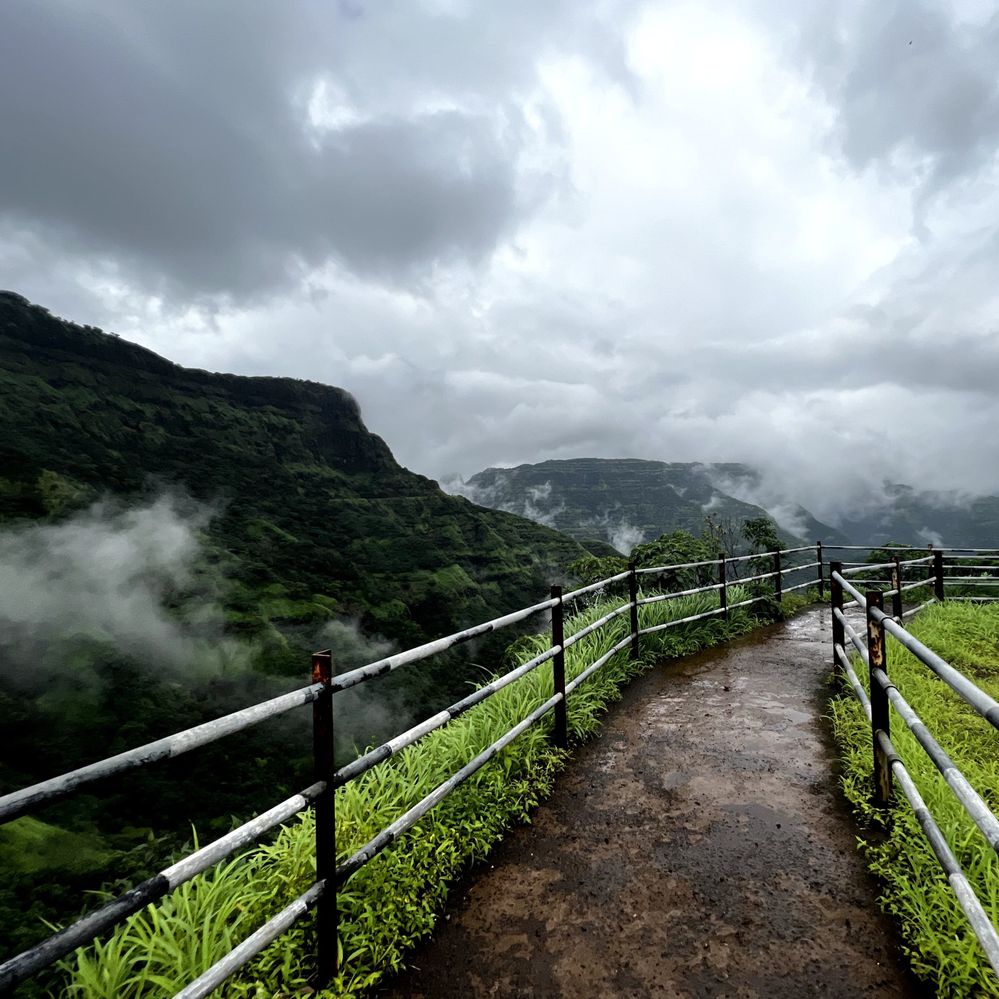 #2  This photograph depicts a magnificent route on top of a ghat, surrounded by clouds and wildlife.