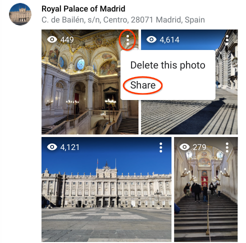 Caption: A screenshot of four photos of the Royal Palace of Madrid viewed on a computer, showing a red circle around the three dots in the top right corner of one of the photos and another red circle around the “Share” option in a small white menu window that appears when clicking on the dots.