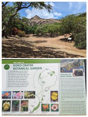 Caption: The trailhead and trail map at Koko Crater Botanical Garden