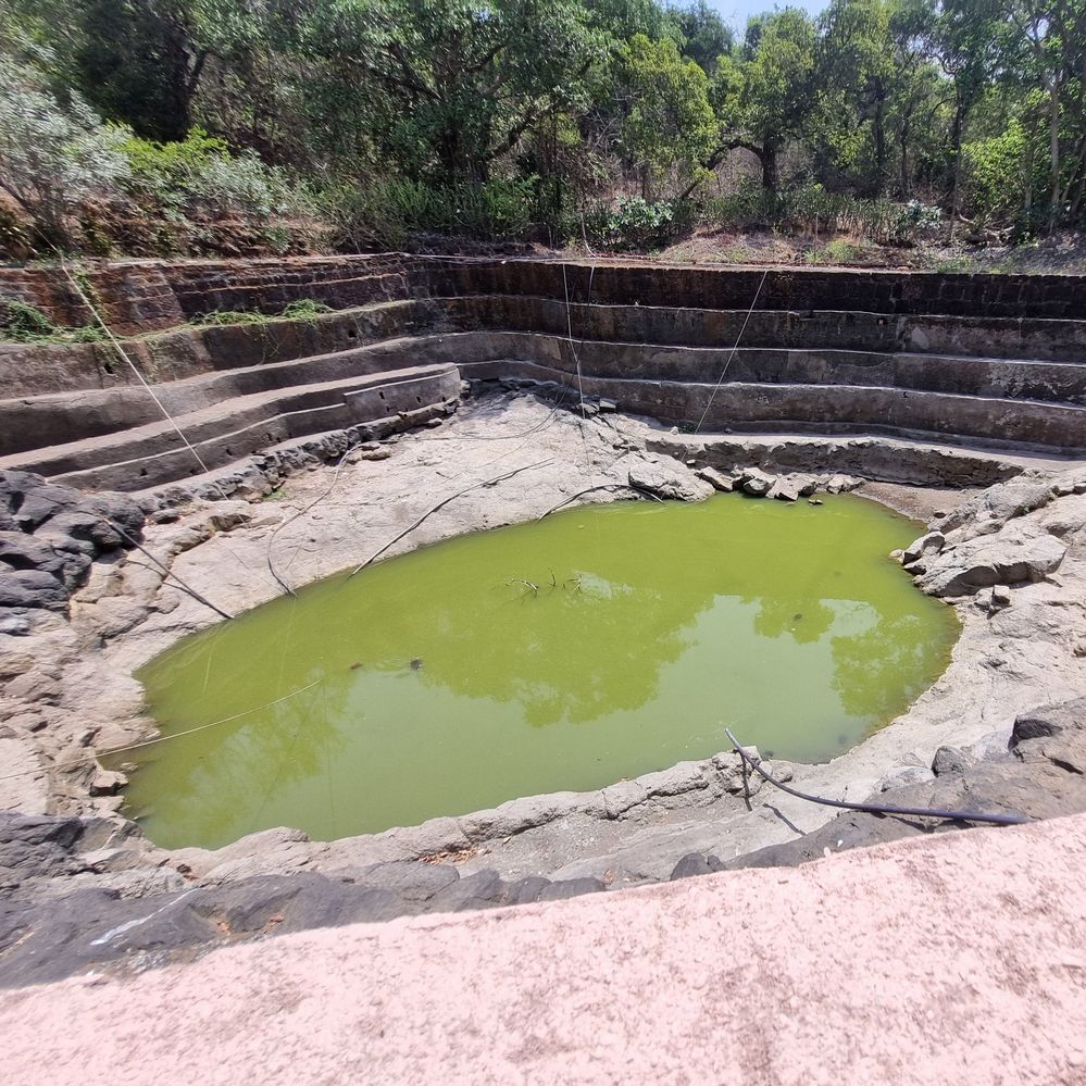 #5 In these Photograph we see the drinking water well where a few turtles and fish reside and where a devotee feeds him.