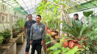 Guides observing green house