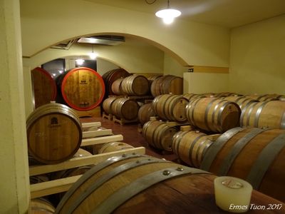 Caption - Wooden barrels stacked on a winery, for aging the wines
